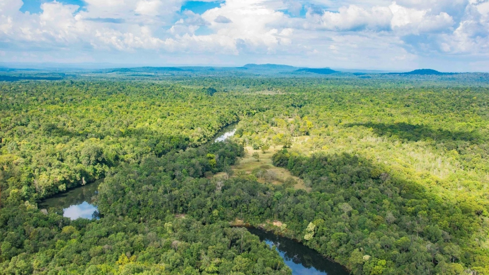 A river running through the middle of an area.