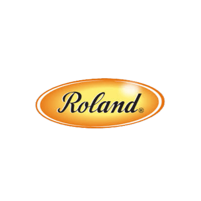 Roland logo, gold oval with black text.